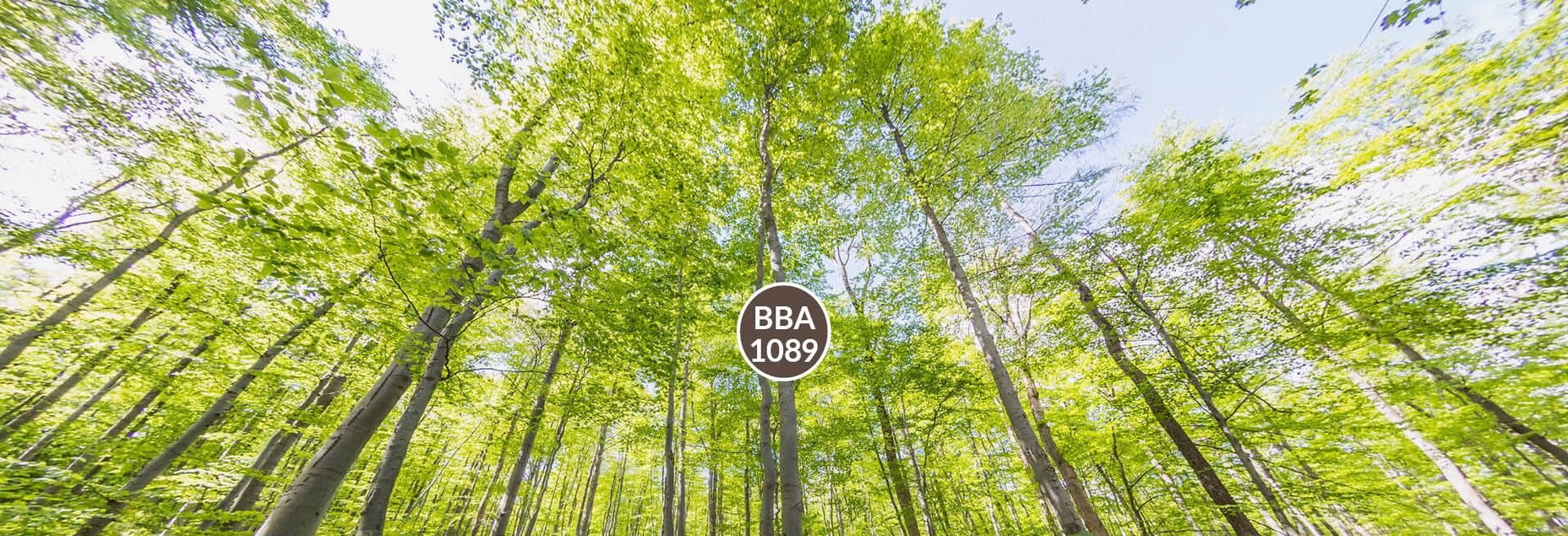 Baum BBA 1089 - Fisheyeperspektive