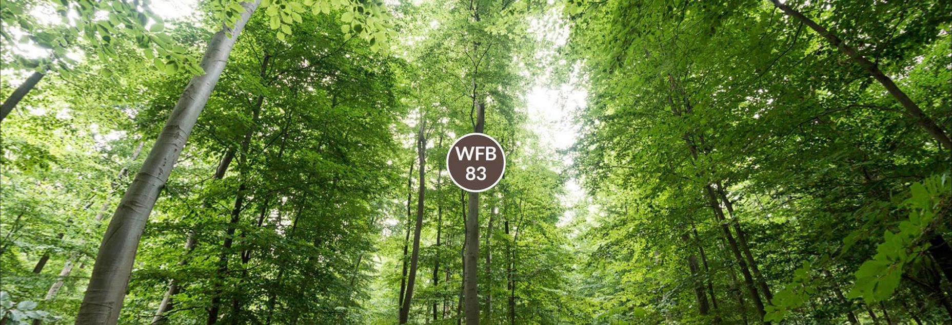 FriedWald-Onlineshop WFB 83 