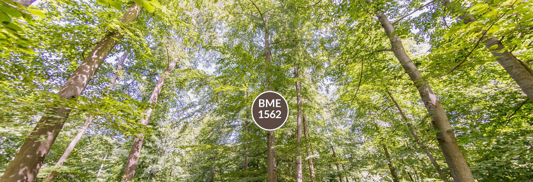 Baum BME 1562 - Fisheyeperspektive