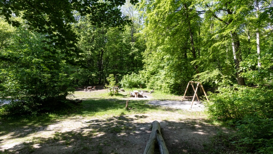 Neben dem FriedWald gibt es einen großen Wald-Spielplatz.