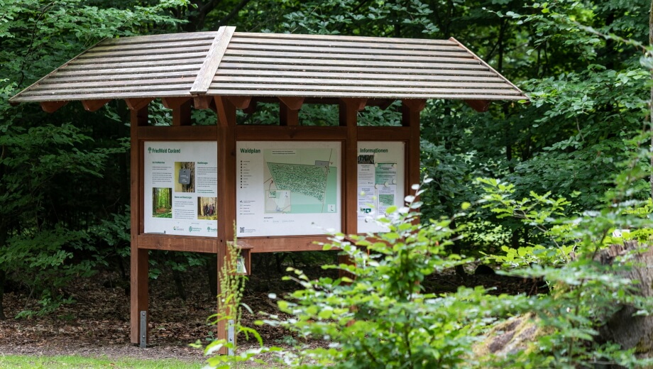 Die Infotafel am Waldeingang erläutert die FriedWald-Idee und gibt einen Überblick über den Wald.