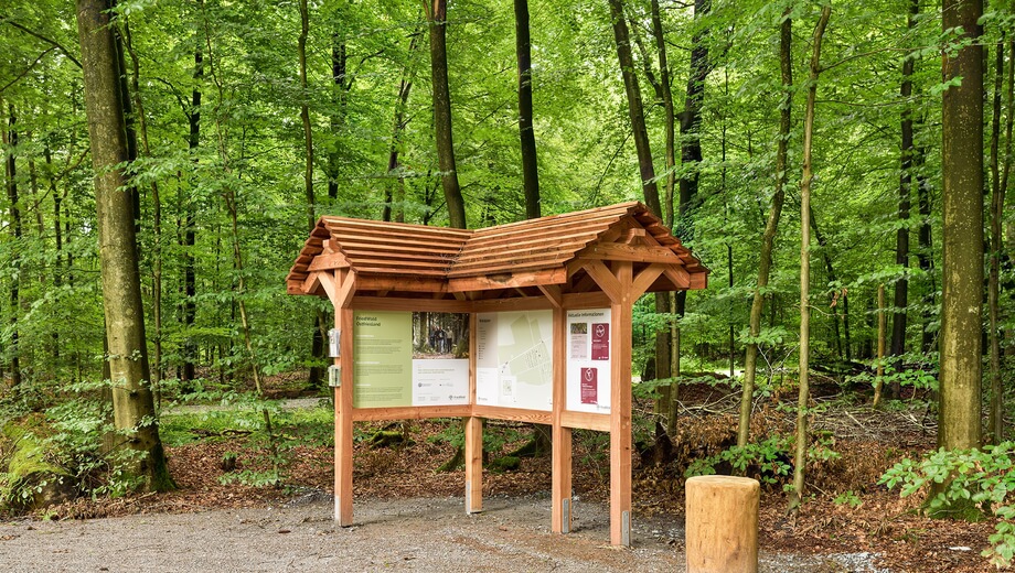 Auf dem Waldplan am Eingang können Besuchende sich orientieren und eine Karte mitnehmen.