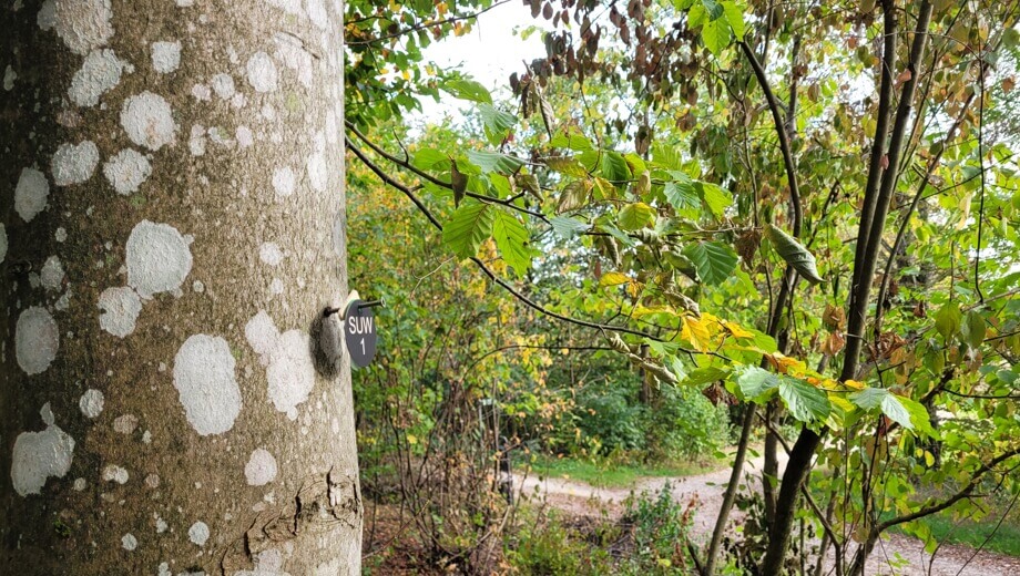 Das Kürzel SUW seht für Schurwald - Bestattungsbäume sind so gekennzeichnet.