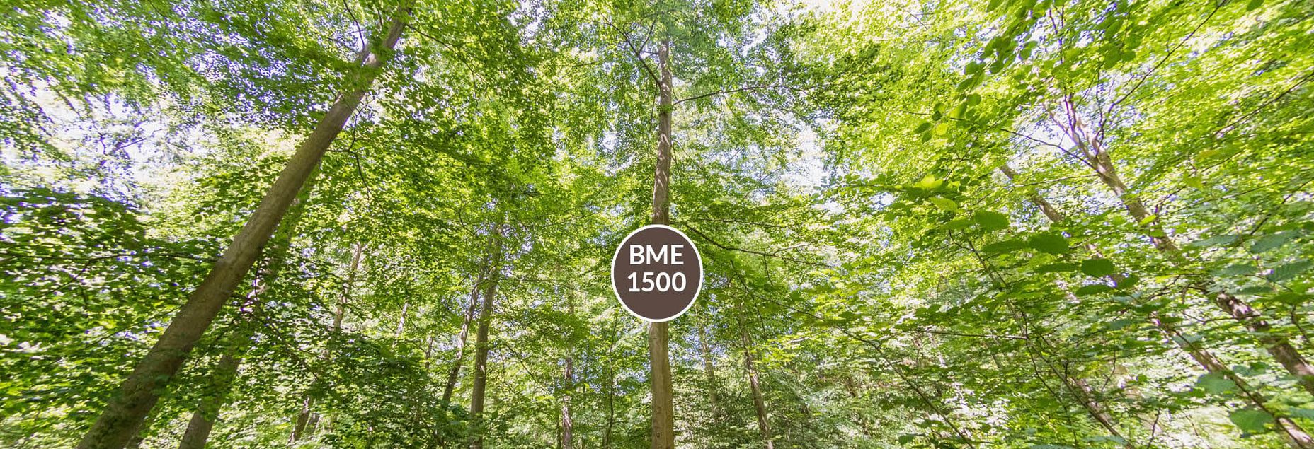 Baum BME 1500 - Fisheyeperspektive