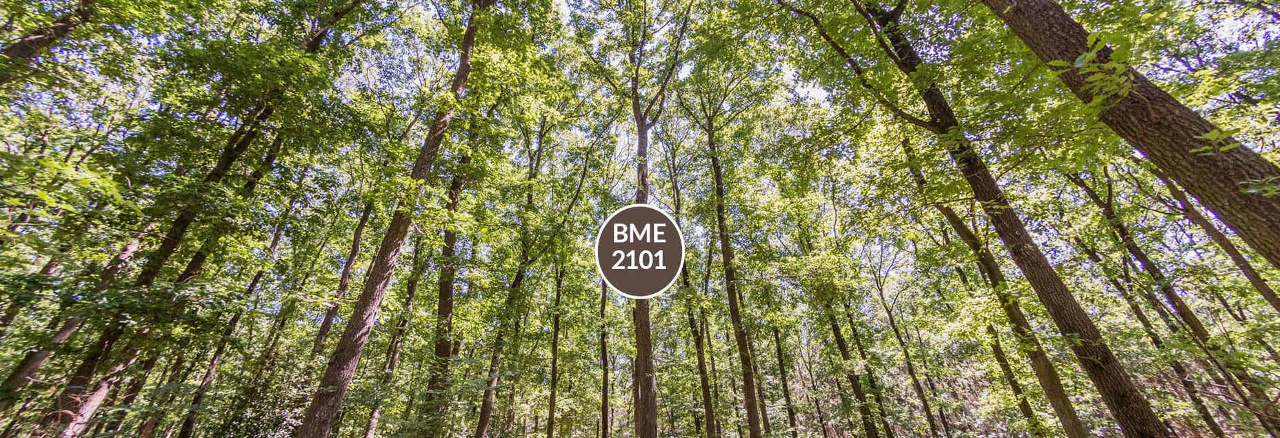 Baum BME 2101 - Fisheyeperspektive