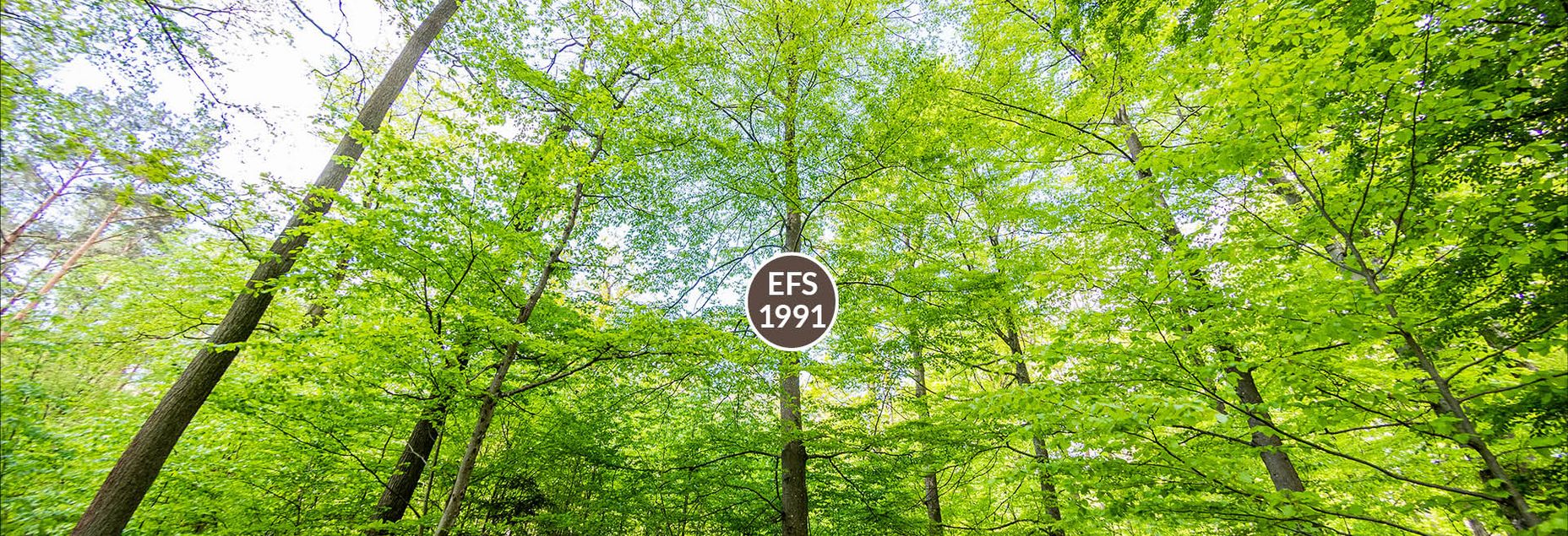 FriedWald-Onlineshop EFS 1991