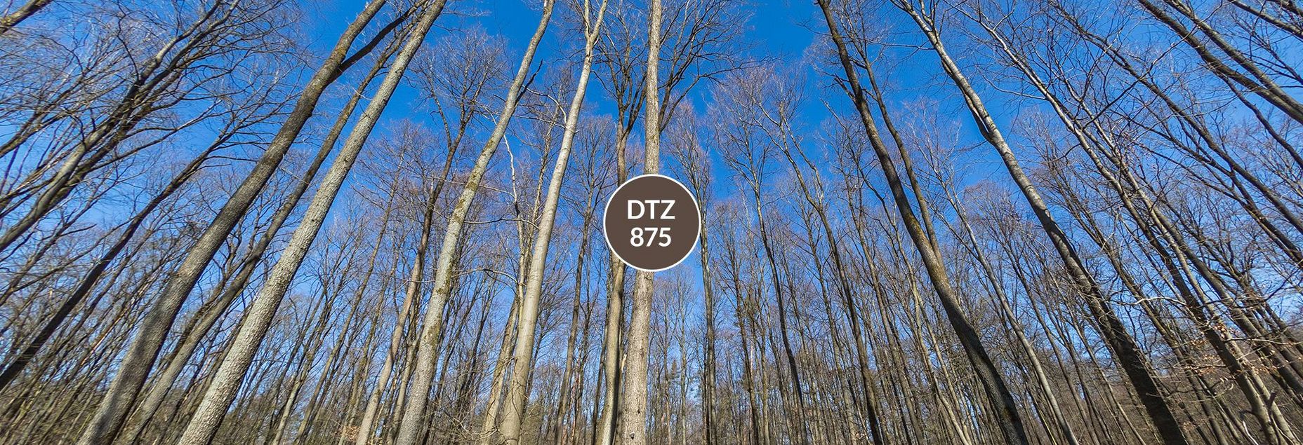DTZ 875 - Baum