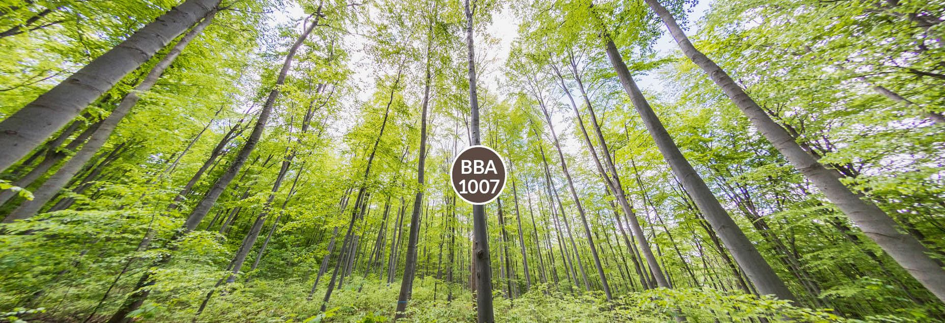 Baum BBA 1007 - Fisheyeperspektive