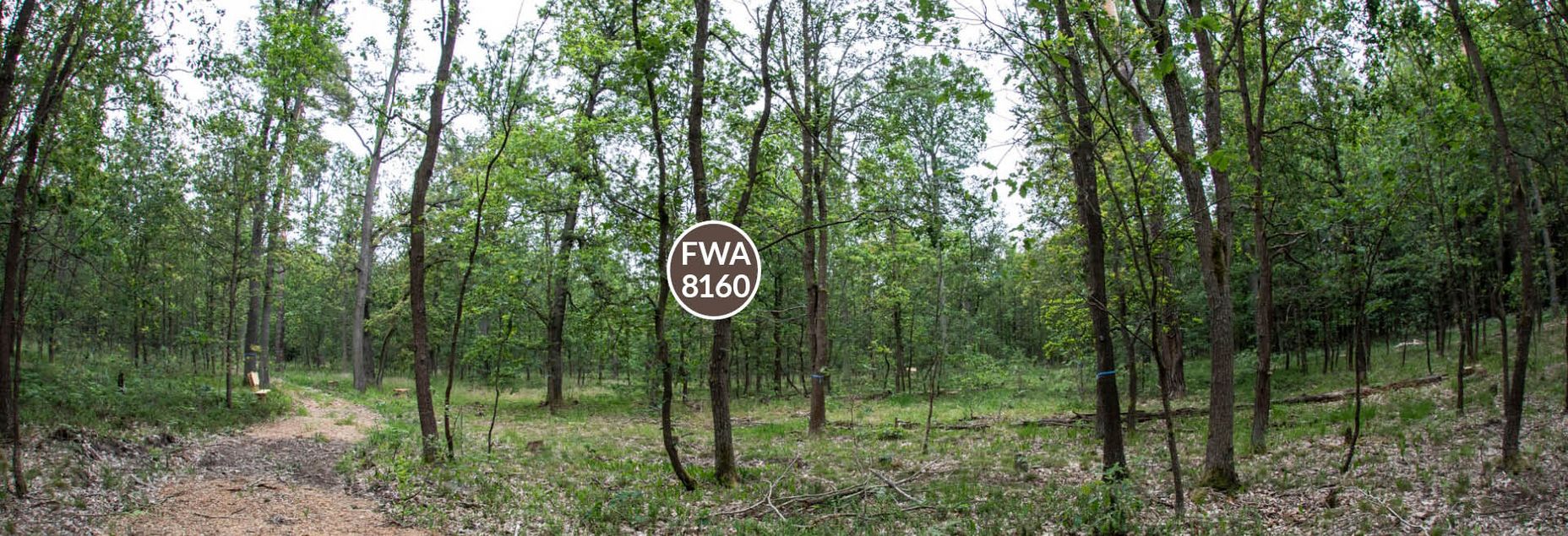 FriedWald-Onlineshop FWA 8160