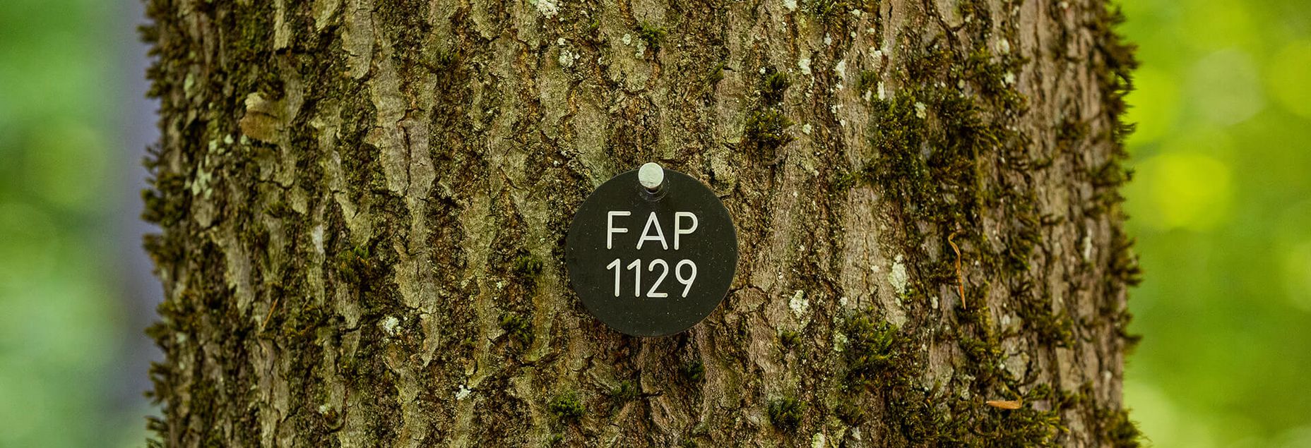 FriedWald-Onlineshop FAP 1129