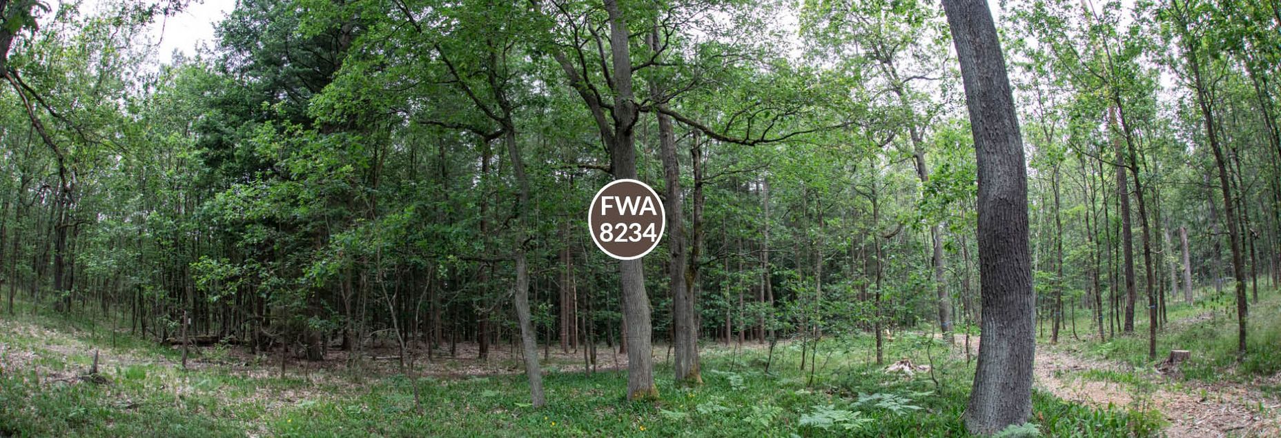 FriedWald-Onlineshop FWA 8234