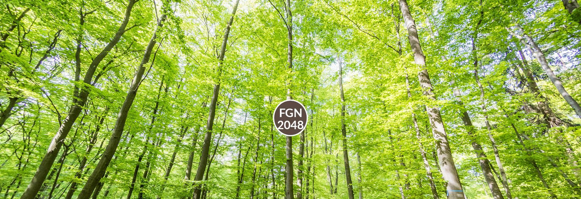 Baum FGN 2048 - Fisheyeperspektive