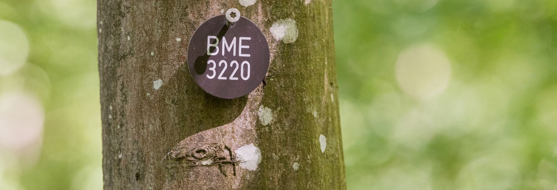 Baum BME 3220 - Plakette