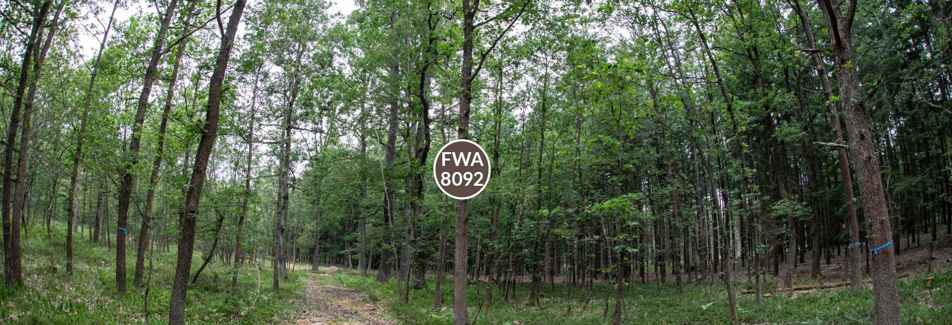 FriedWald-Onlineshop FWA 8092