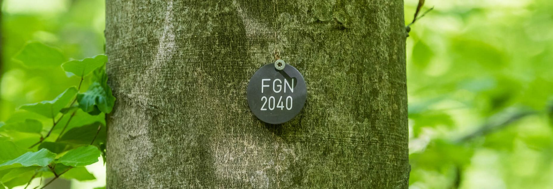 Baum FGN 2040 - Plakette