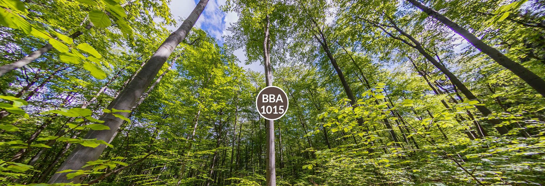Baum BBA 1015 - Fisheyeperspektive