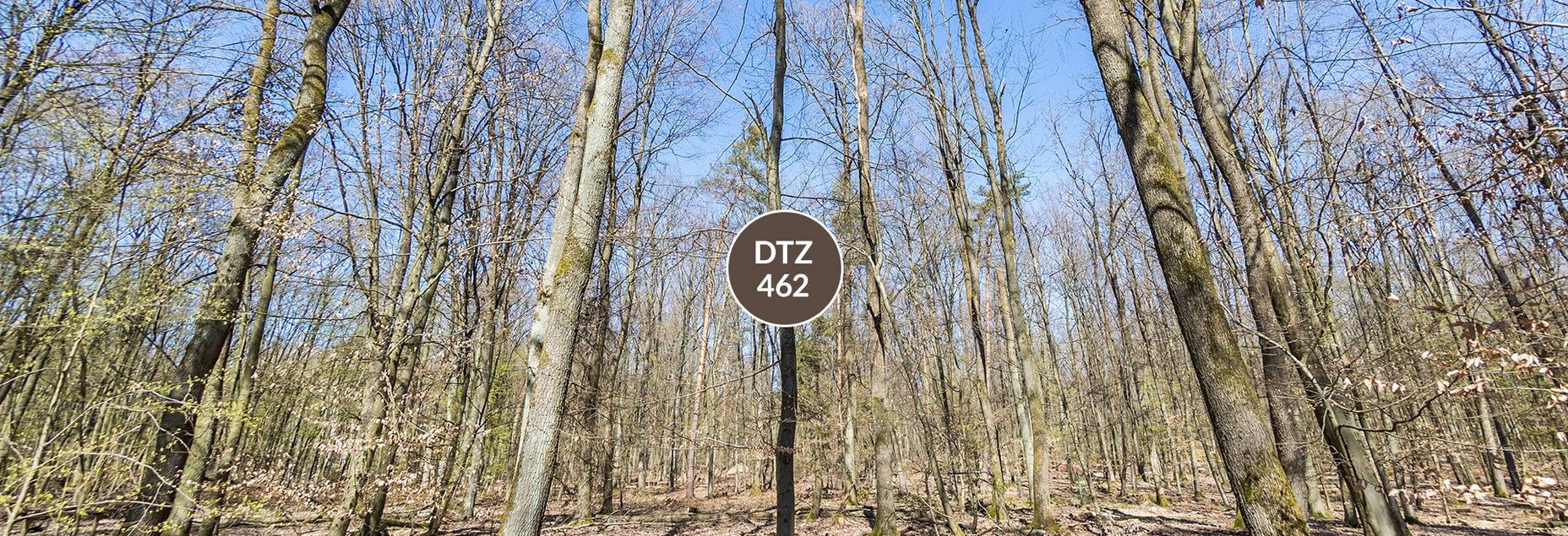 Baum DTZ 462 - Fisheyeperspektive