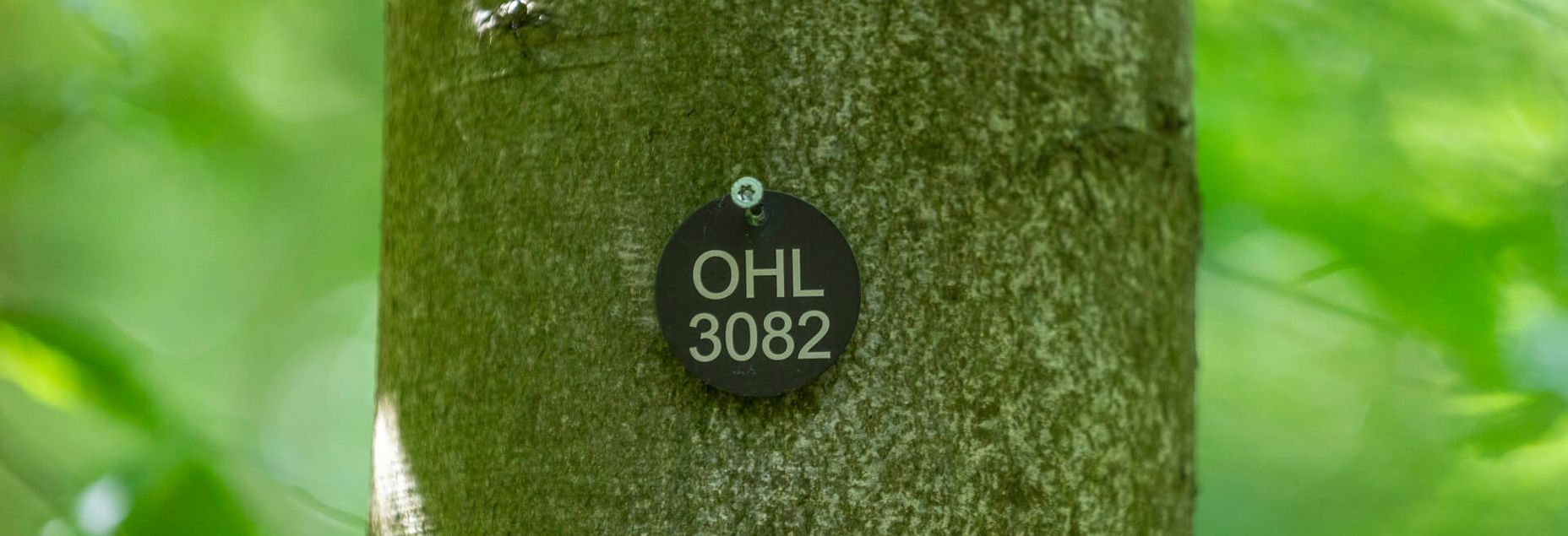 FriedWald-Onlineshop OHL 3082