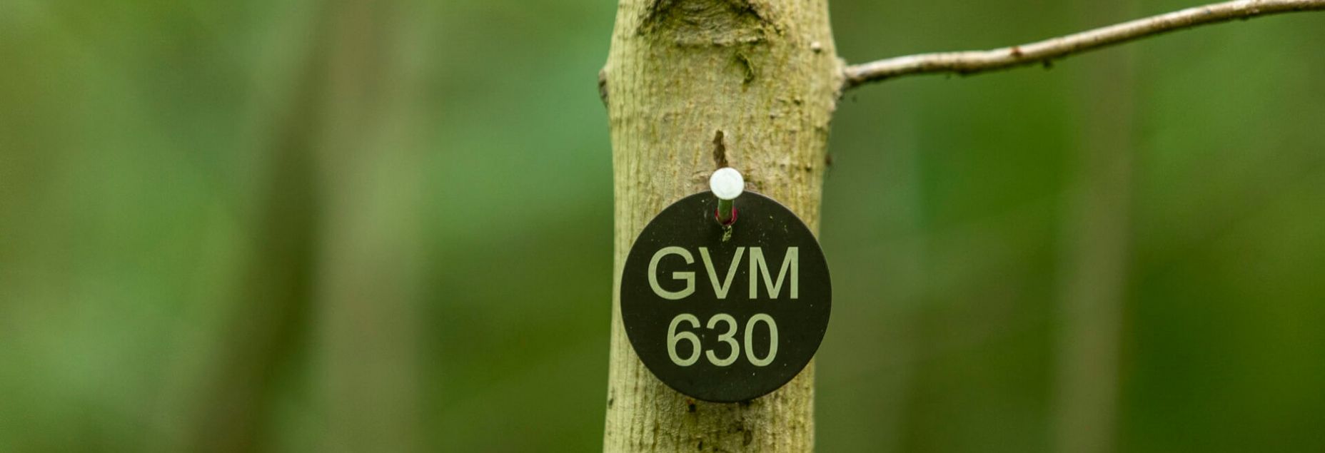 Baum GVM 630 - Plakette