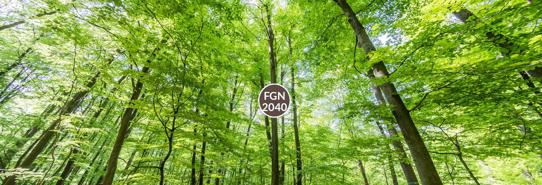 Baum FGN 2040 - Fisheyeperspektive