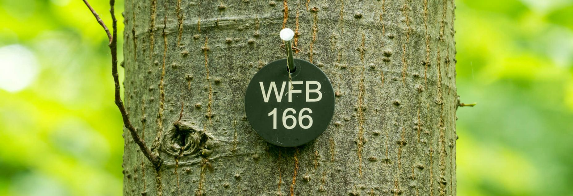 FriedWald-Onlineshop WFB 166