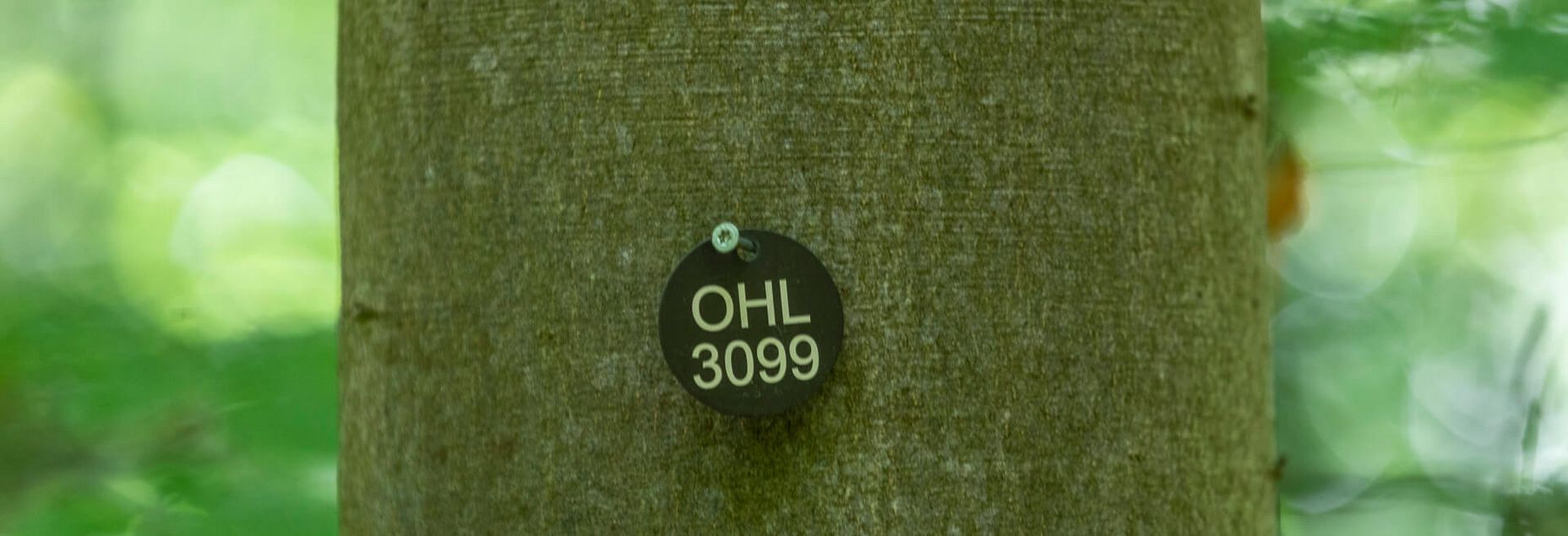 FriedWald-Onlineshop OHL 3099