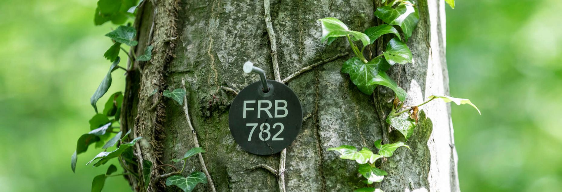 FRB 782 - Plakette