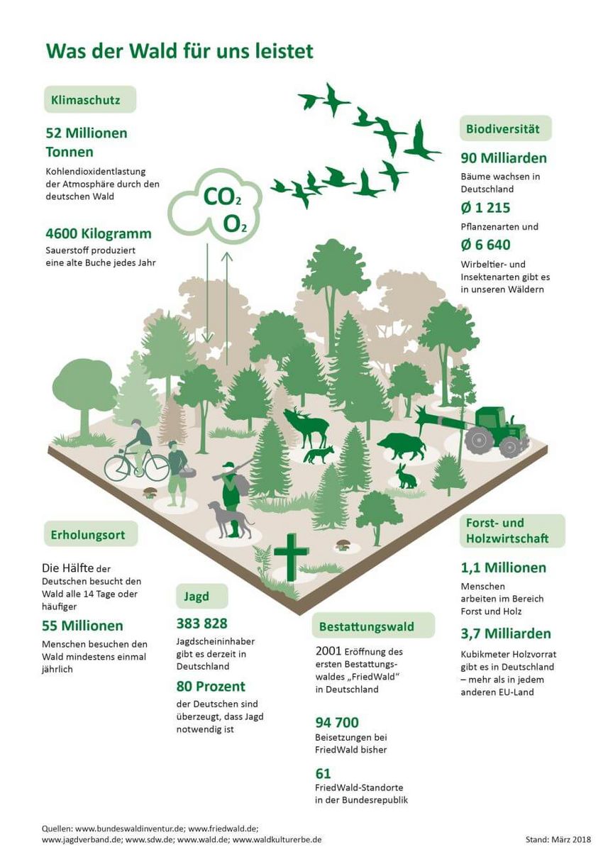 Infografik zum Tag des Waldes
