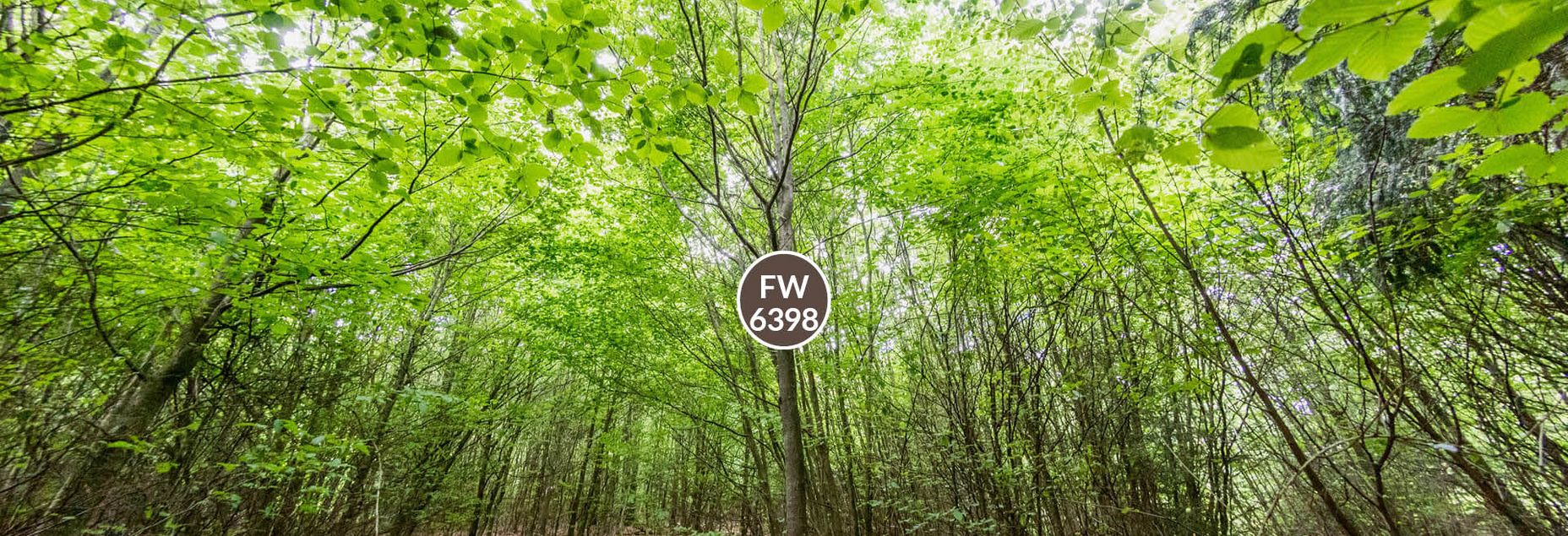 Baum FW 6398 - Fisheyeperspektive