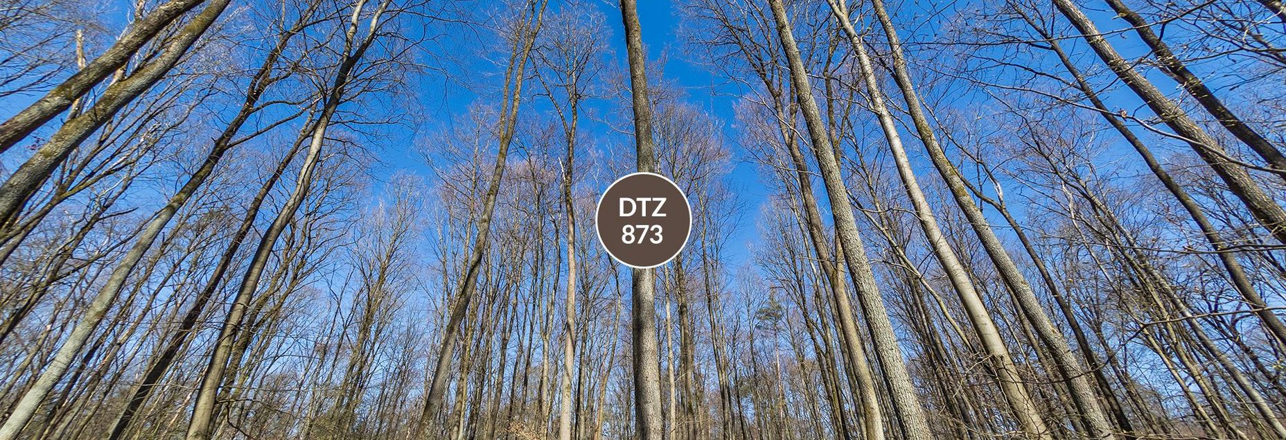 DTZ 873 - Baum