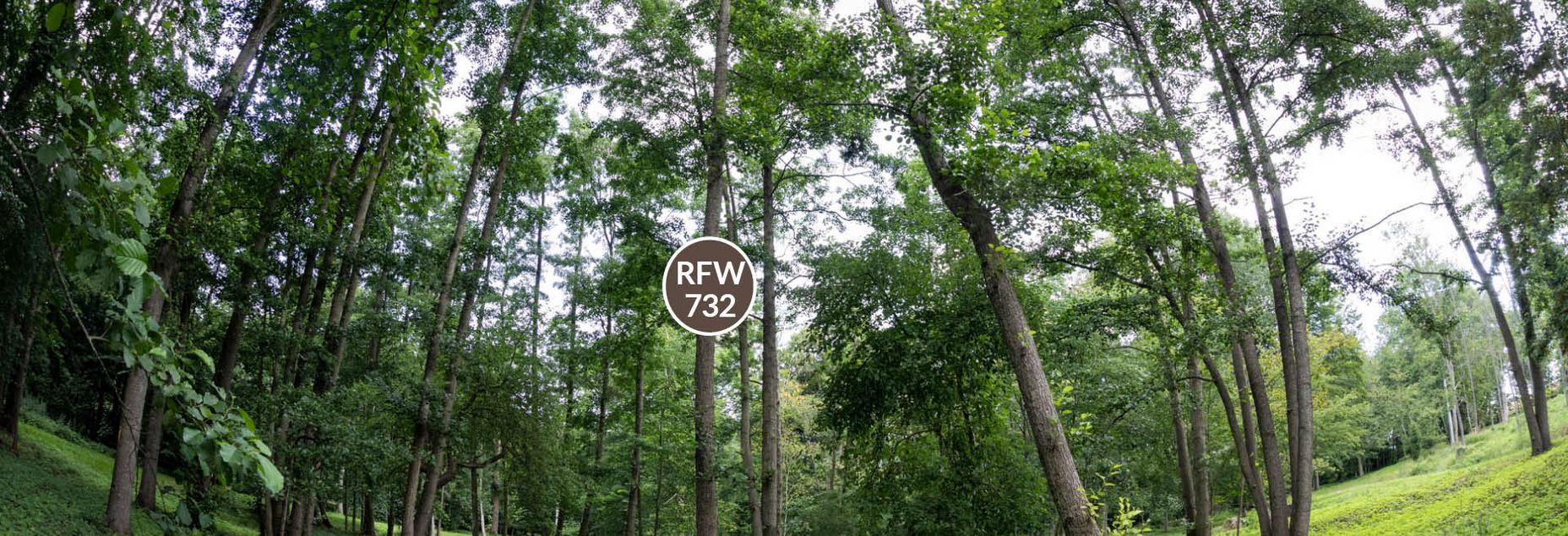 FriedWald-Onlineshop RFW 732
