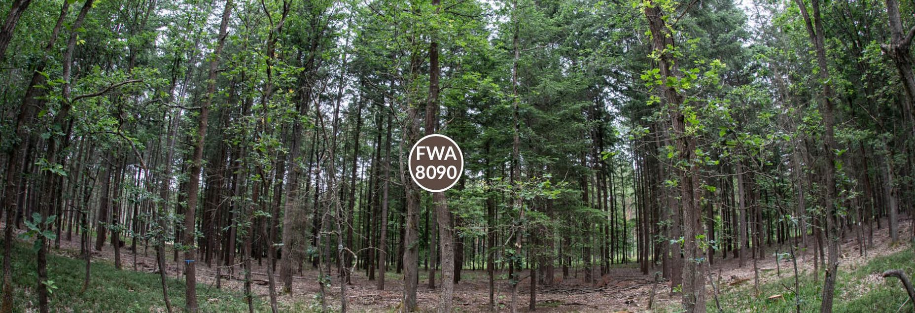 FriedWald-Onlineshop FWA 8090