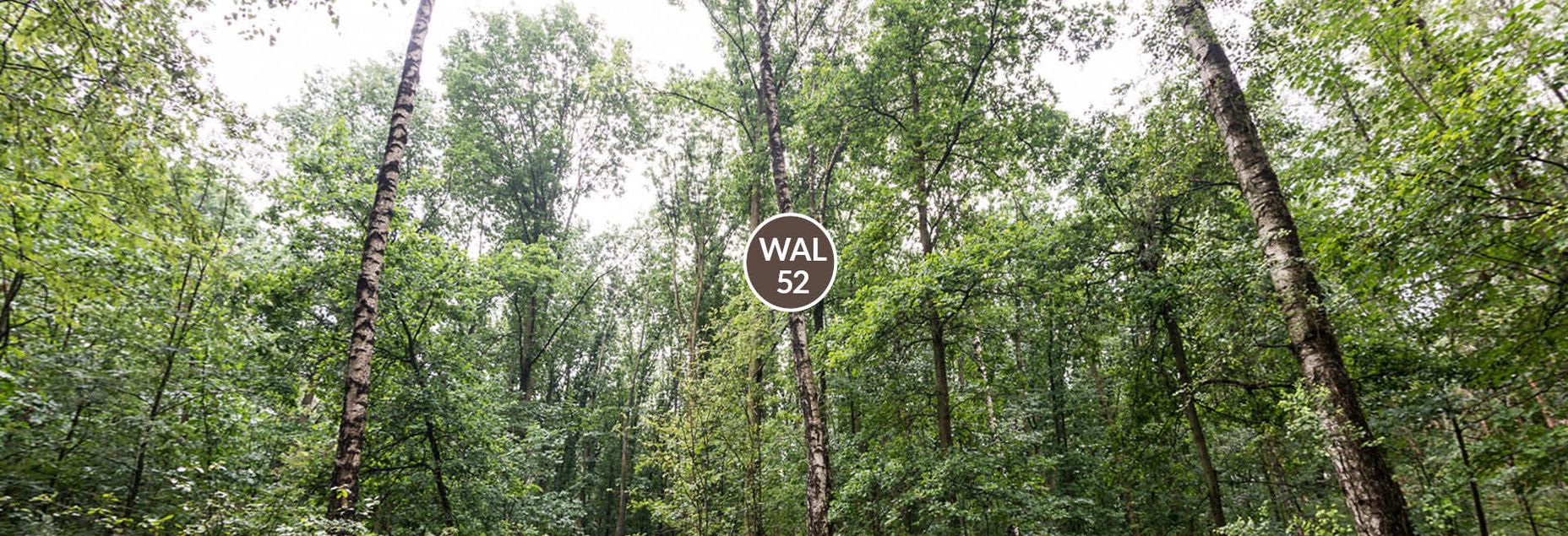 FriedWald-Onlineshop WAL 52