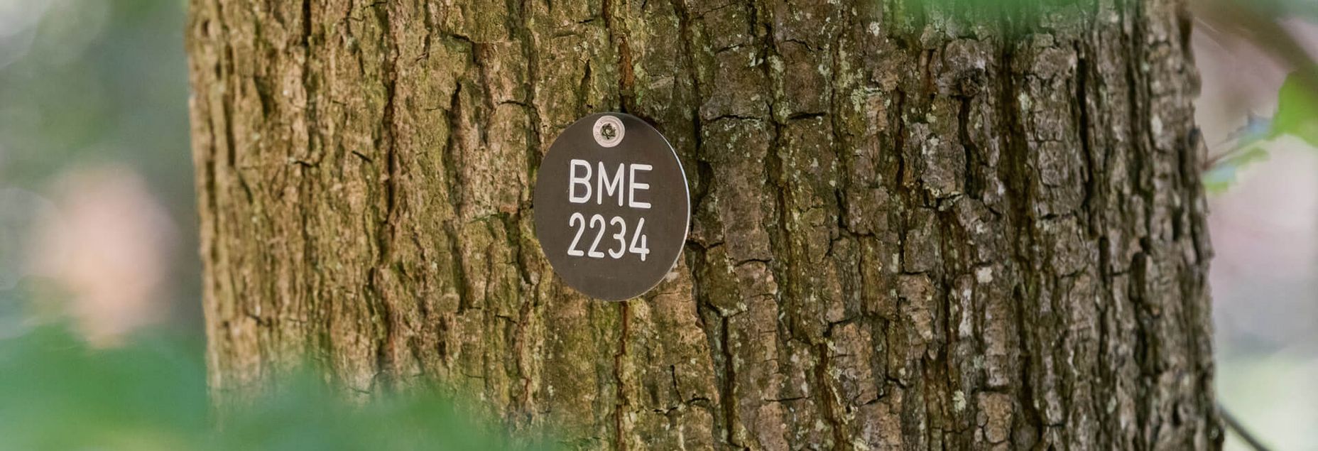 BME 2234 - Plakette