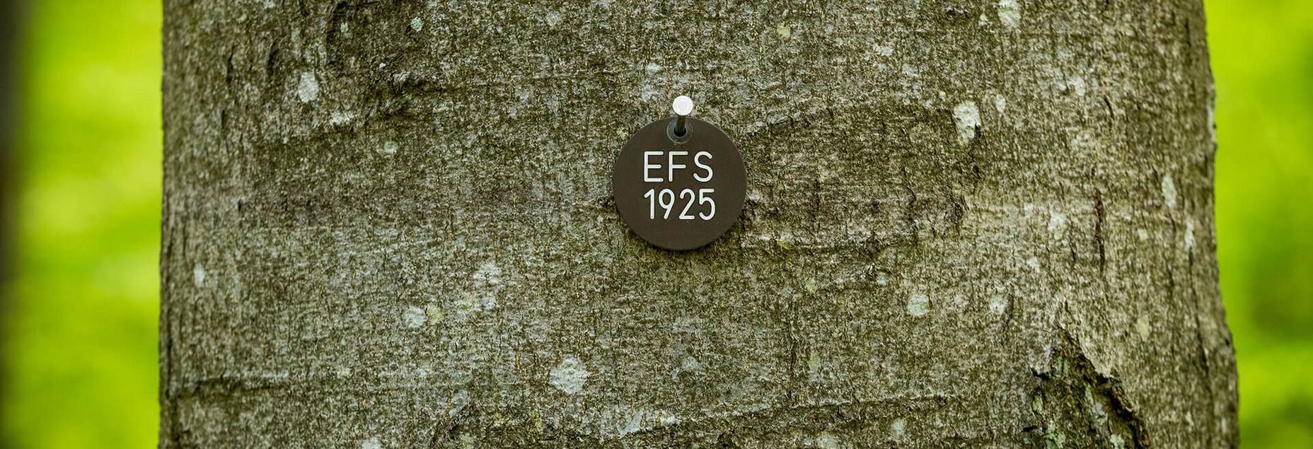 FriedWald-Onlineshop EFS 1925