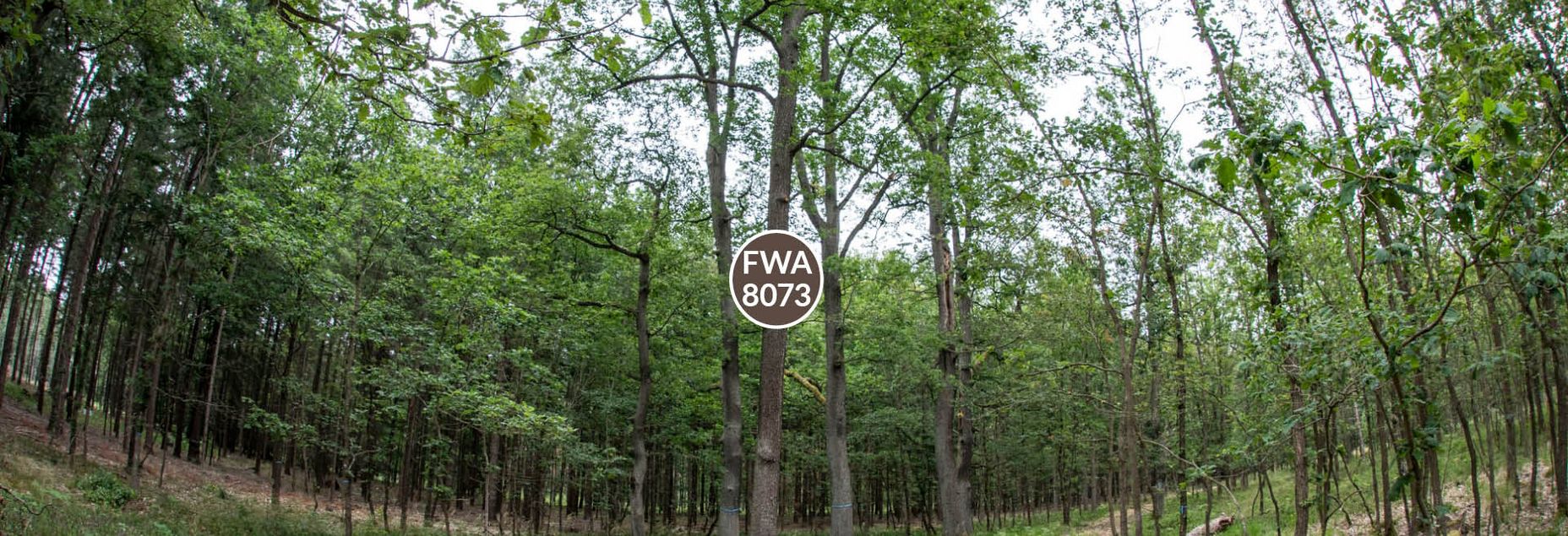FriedWald-Onlineshop FWA 8073