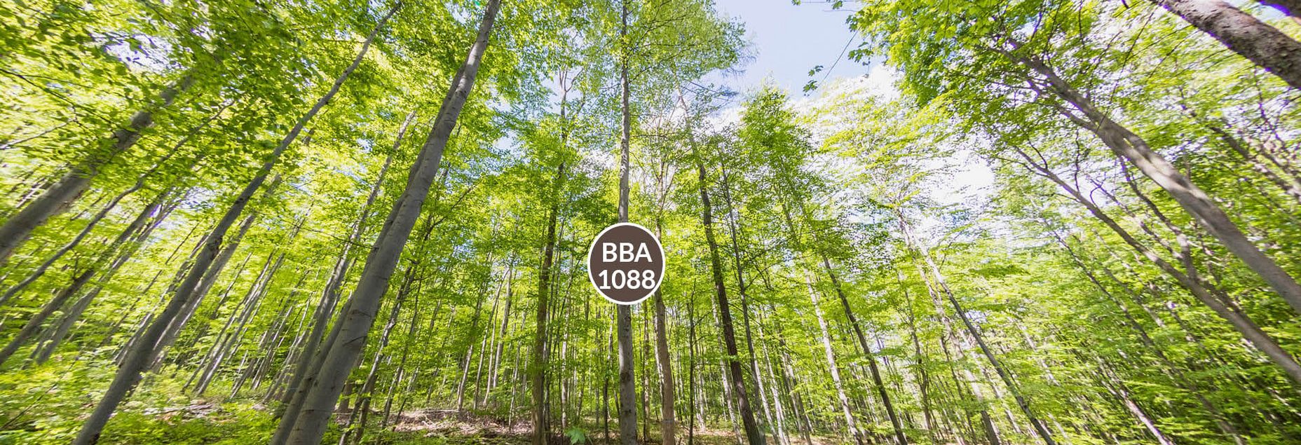 Baum BBA 1088 - Fisheyeperspektive