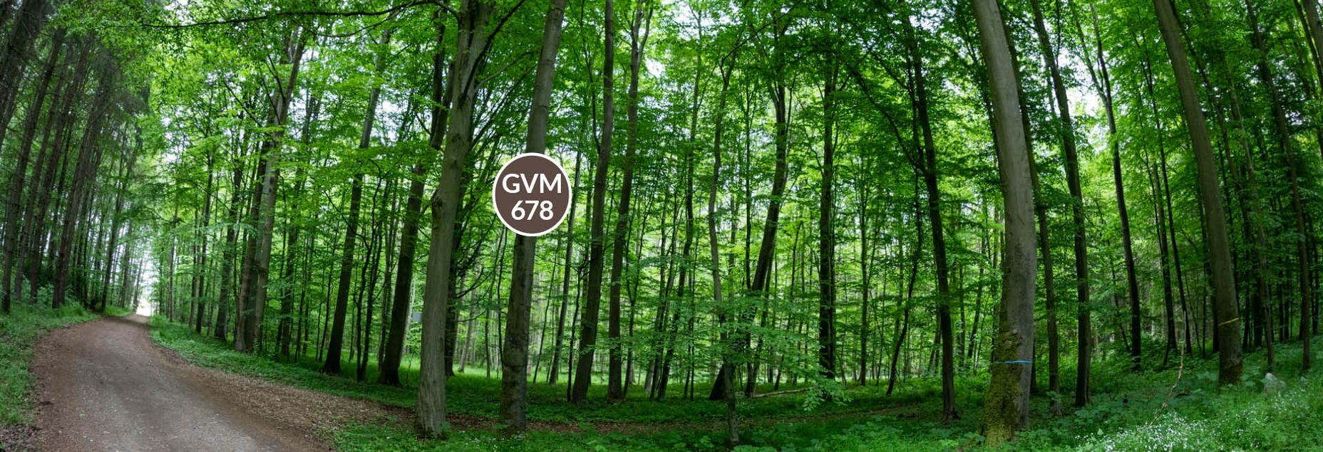 Baum GVM 678 - Fisheyeperspektive