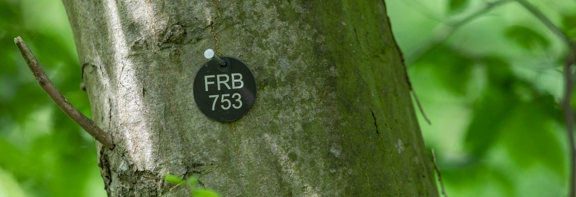FRB 753 - Plakette