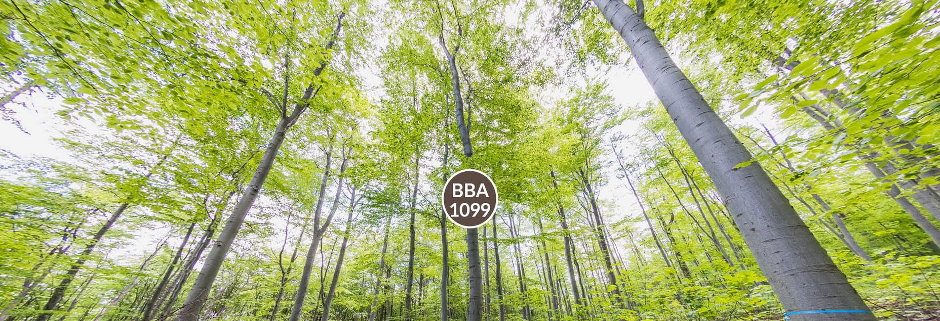 Baum BBA 1099 - Fisheyeperspektive