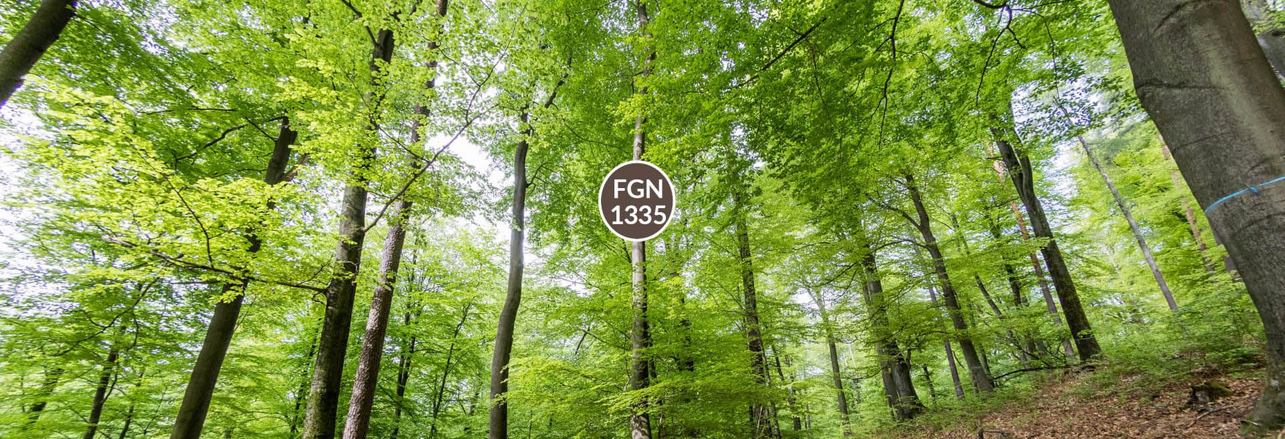 Baum FGN 1335