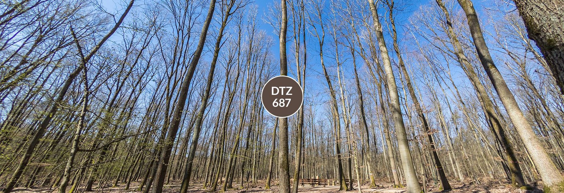 DTZ 687 - Baum