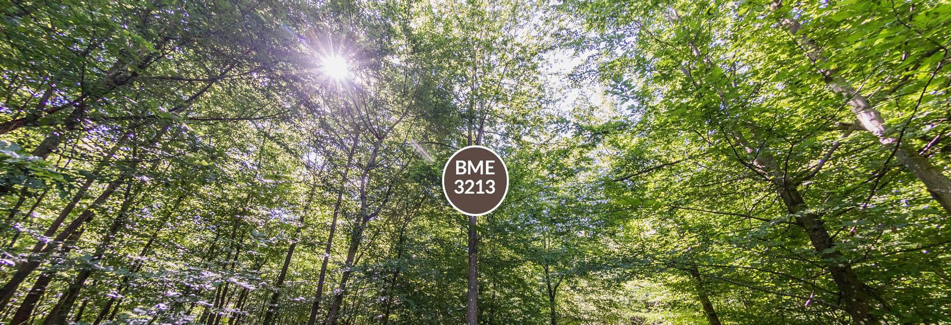 Baum BME 3213 - Fisheyeperspektive