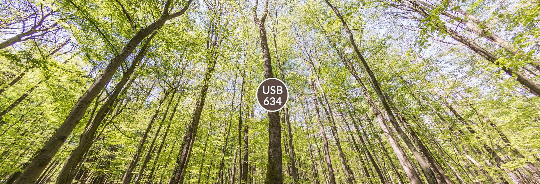 Baum USB 634 - Fisheyeperspektive