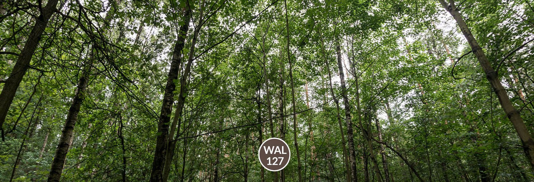 FriedWald-Onlineshop WAL 127
