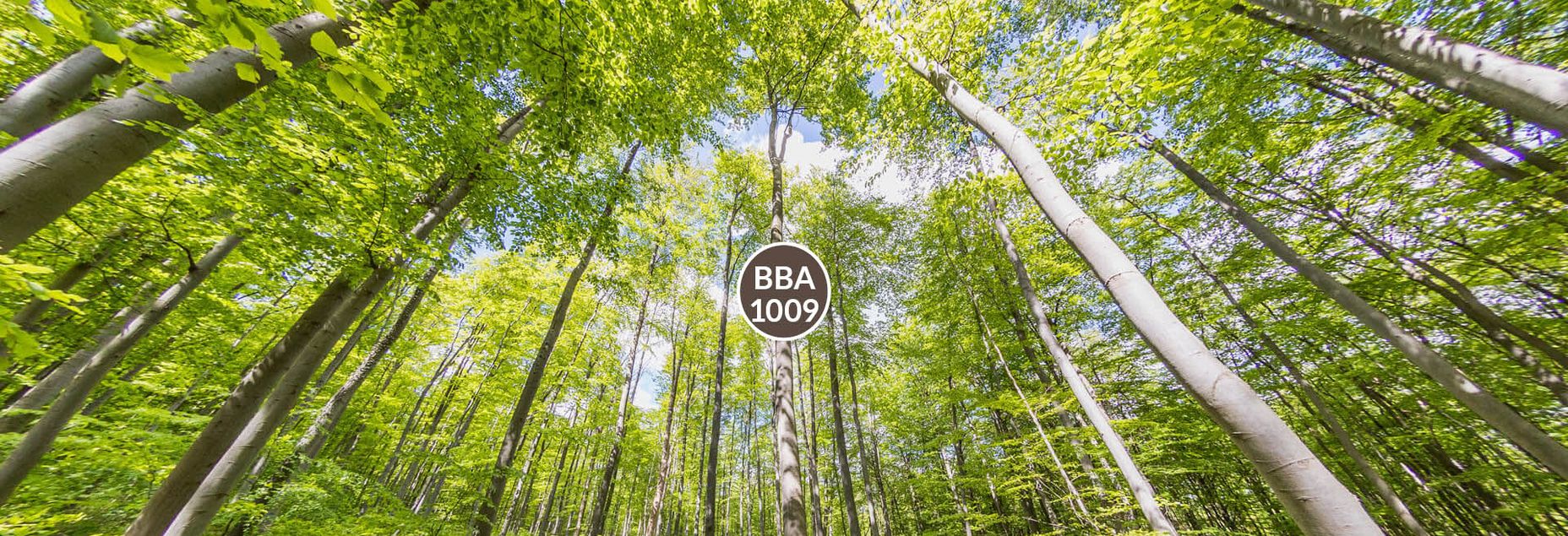 Baum BBA 1009 - Fisheyeperspektive