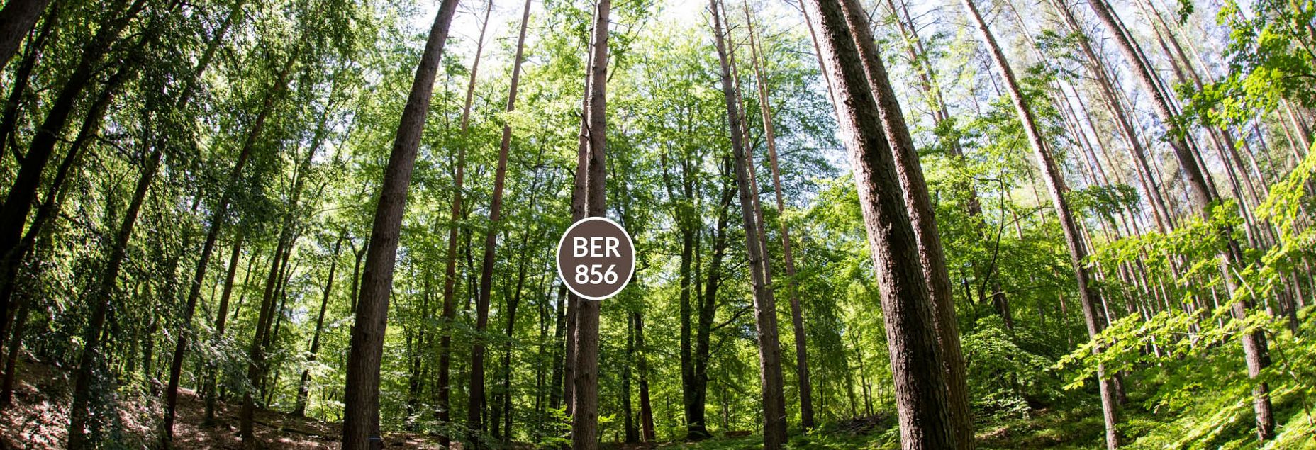 Baum BER 856 - Fisheyeperspektive