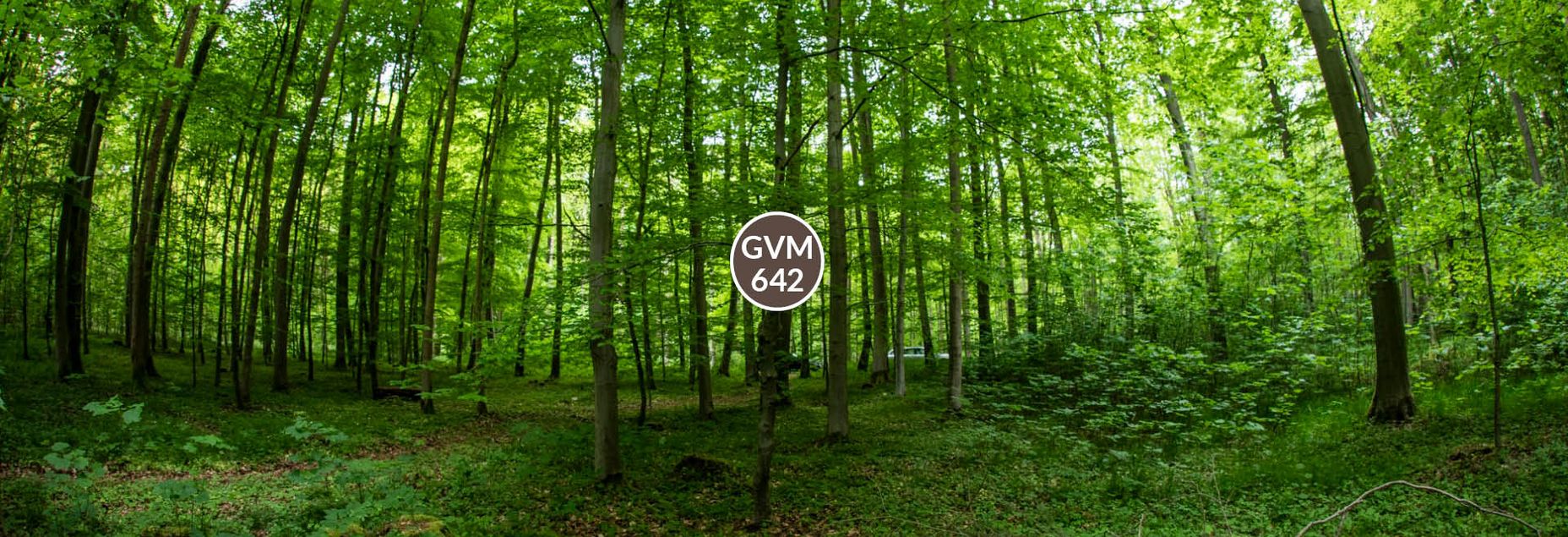 Baum GVM 642 - Fisheyeperspektive