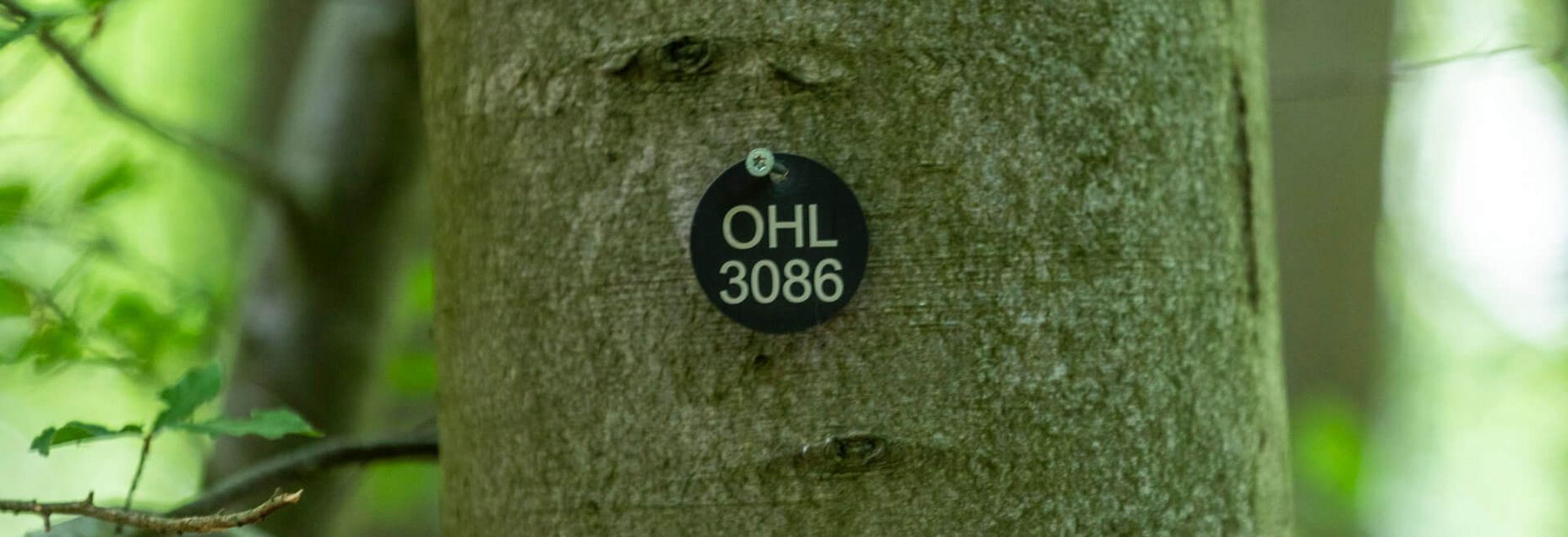 FriedWald-Onlineshop OHL 3086