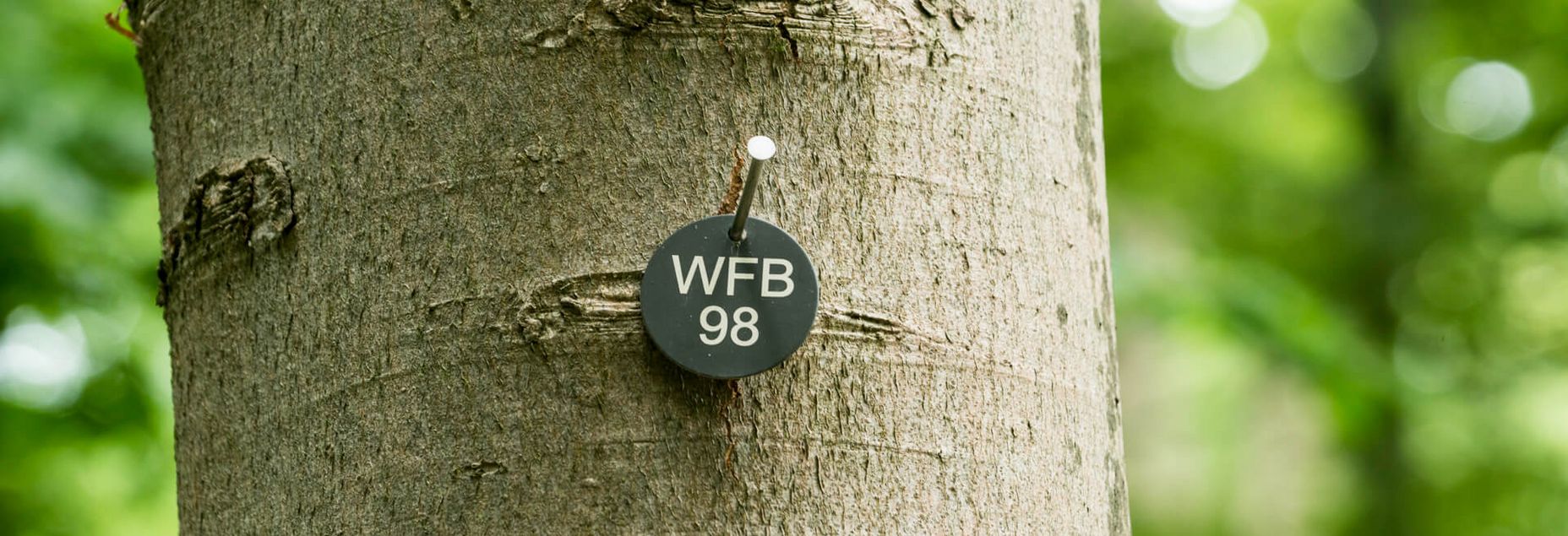 FriedWald-Onlineshop WFB 98